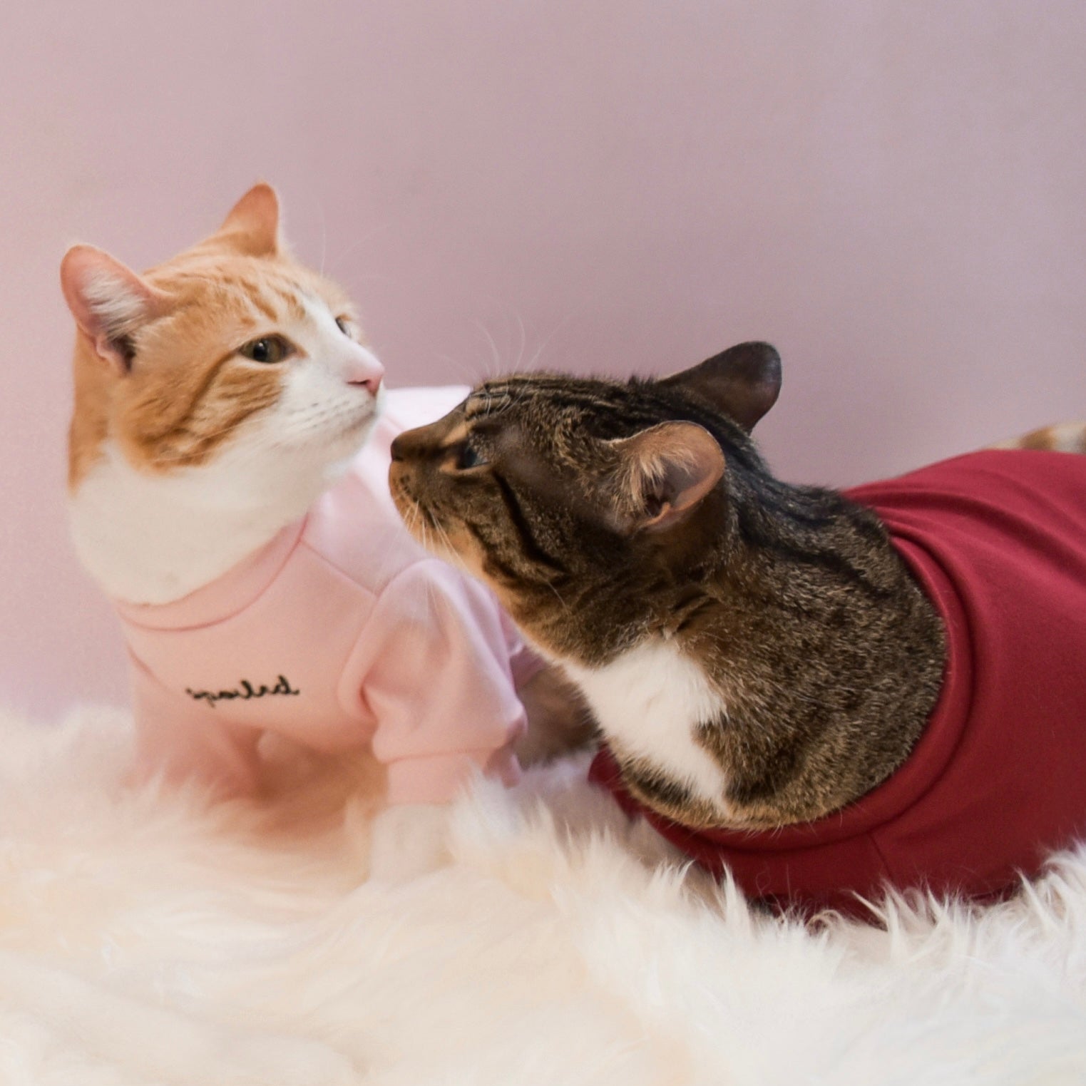 “Spoiled” Mock Neck Shirt - Lucky in Love