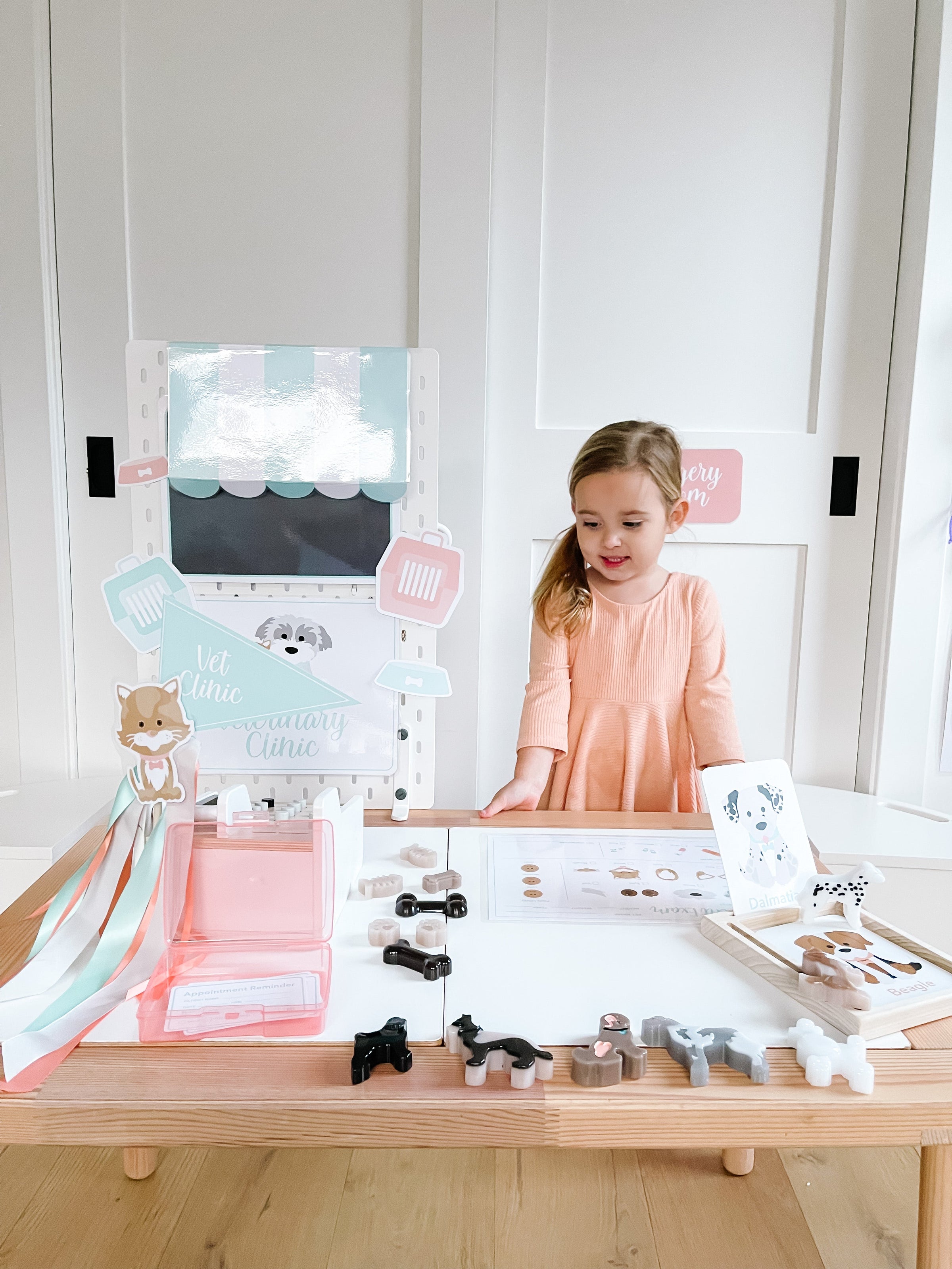 Vet Clinic Dramatic Play