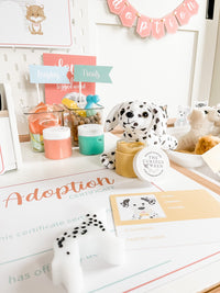 Pet Adoption Clinic Dramatic Play