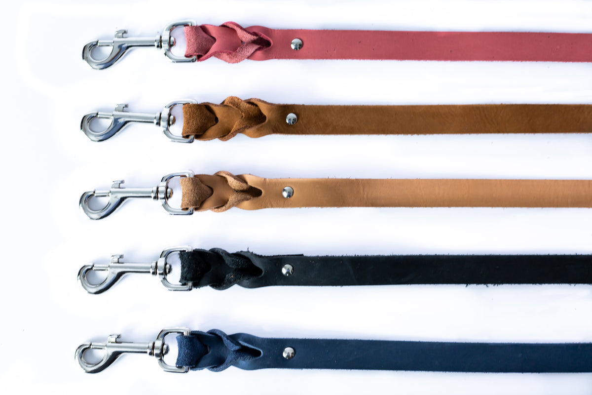 Pro Line Leather Braided Dog Leash - BIG FRENCHIES