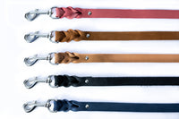 Pro Line Leather Braided Dog Leash - BIG FRENCHIES