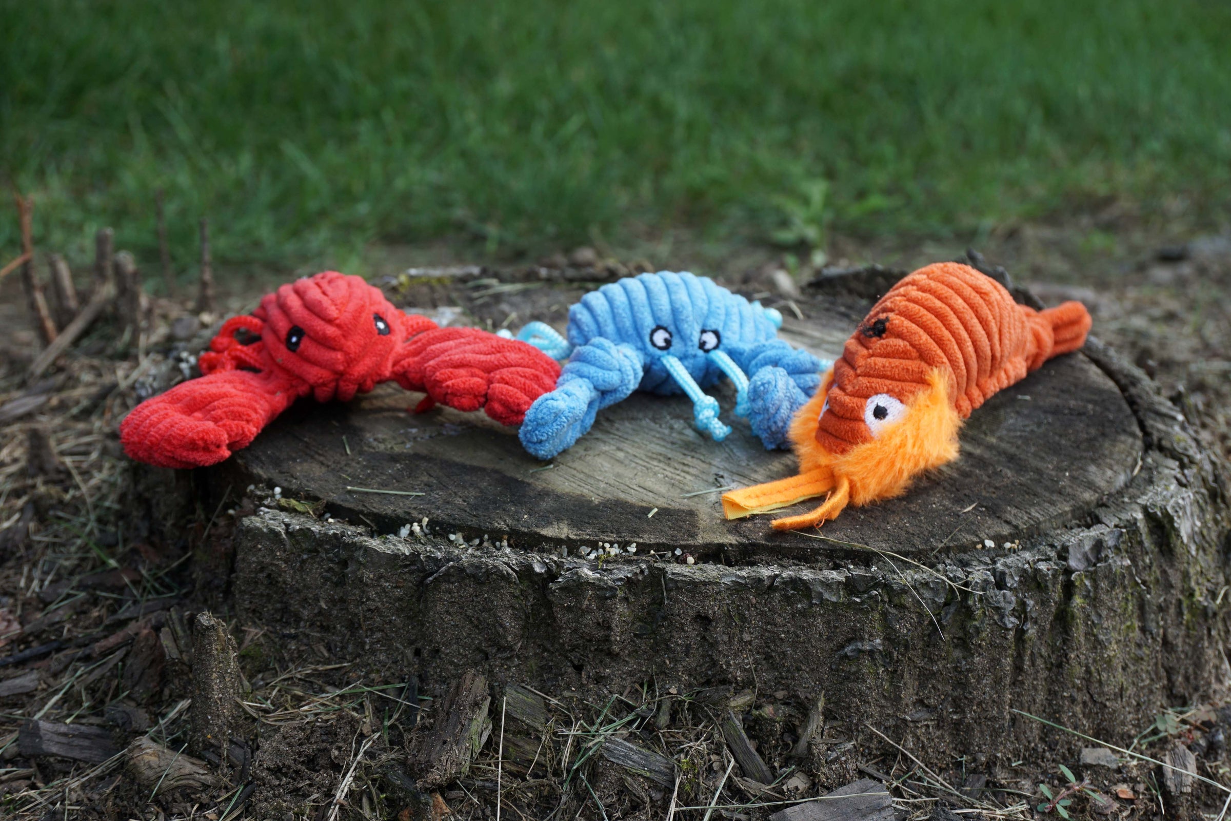 Raw Bar Wee Huggles® Plush Dog Toys, 3 pack - BIG FRENCHIES