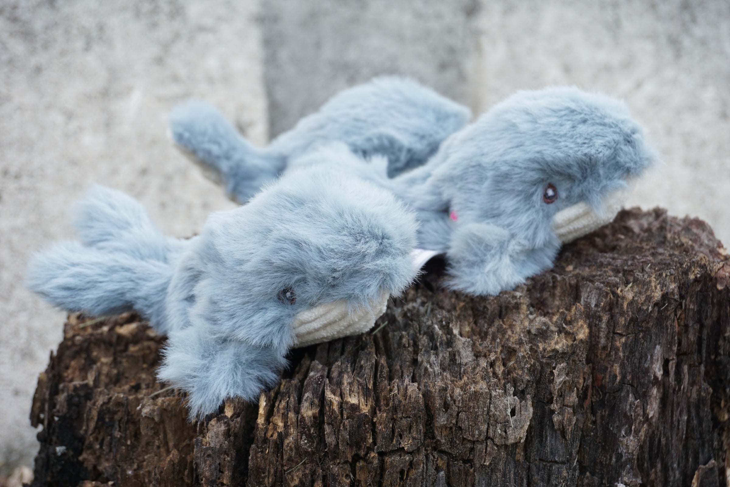 Mobie Whale Wee Huggles® Plush Dog Toys, 3 Pack - BIG FRENCHIES