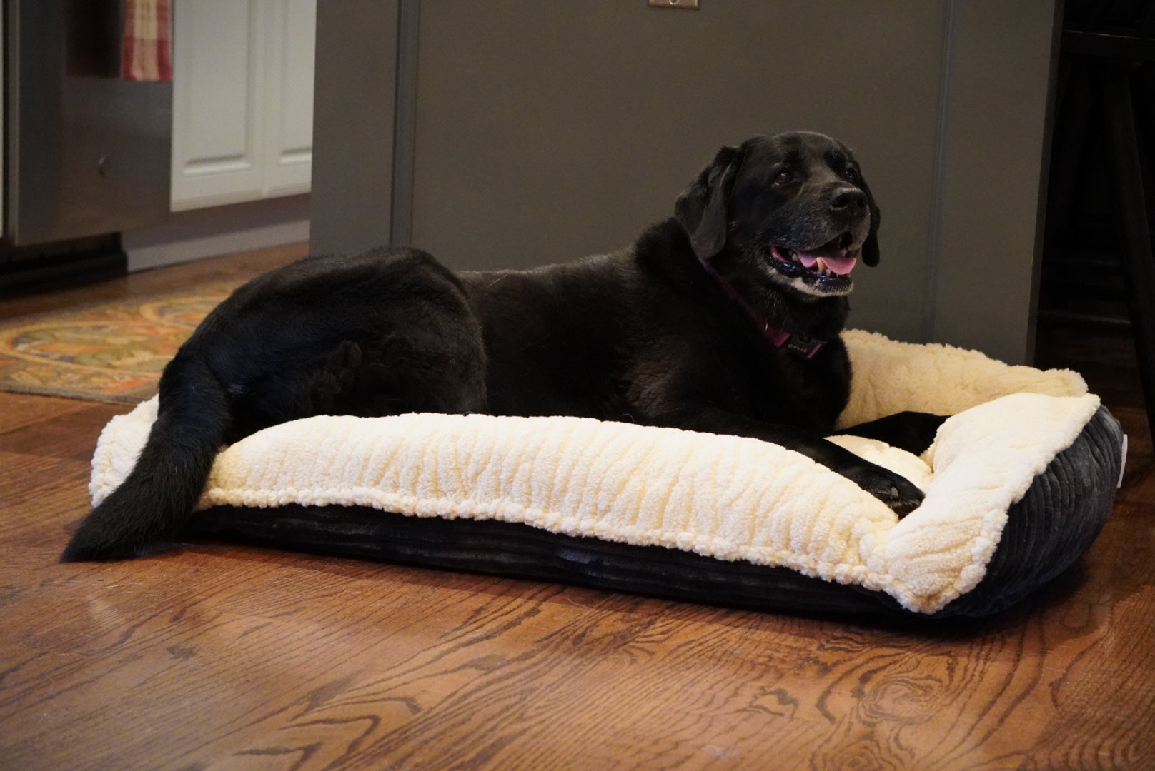 Scout Perfect Bolster Dog Bed - BIG FRENCHIES