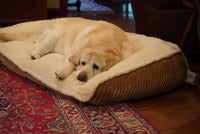 Scout Perfect Bolster Dog Bed - BIG FRENCHIES