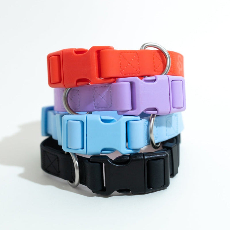 Original Waterproof Dog Collar - BIG FRENCHIES