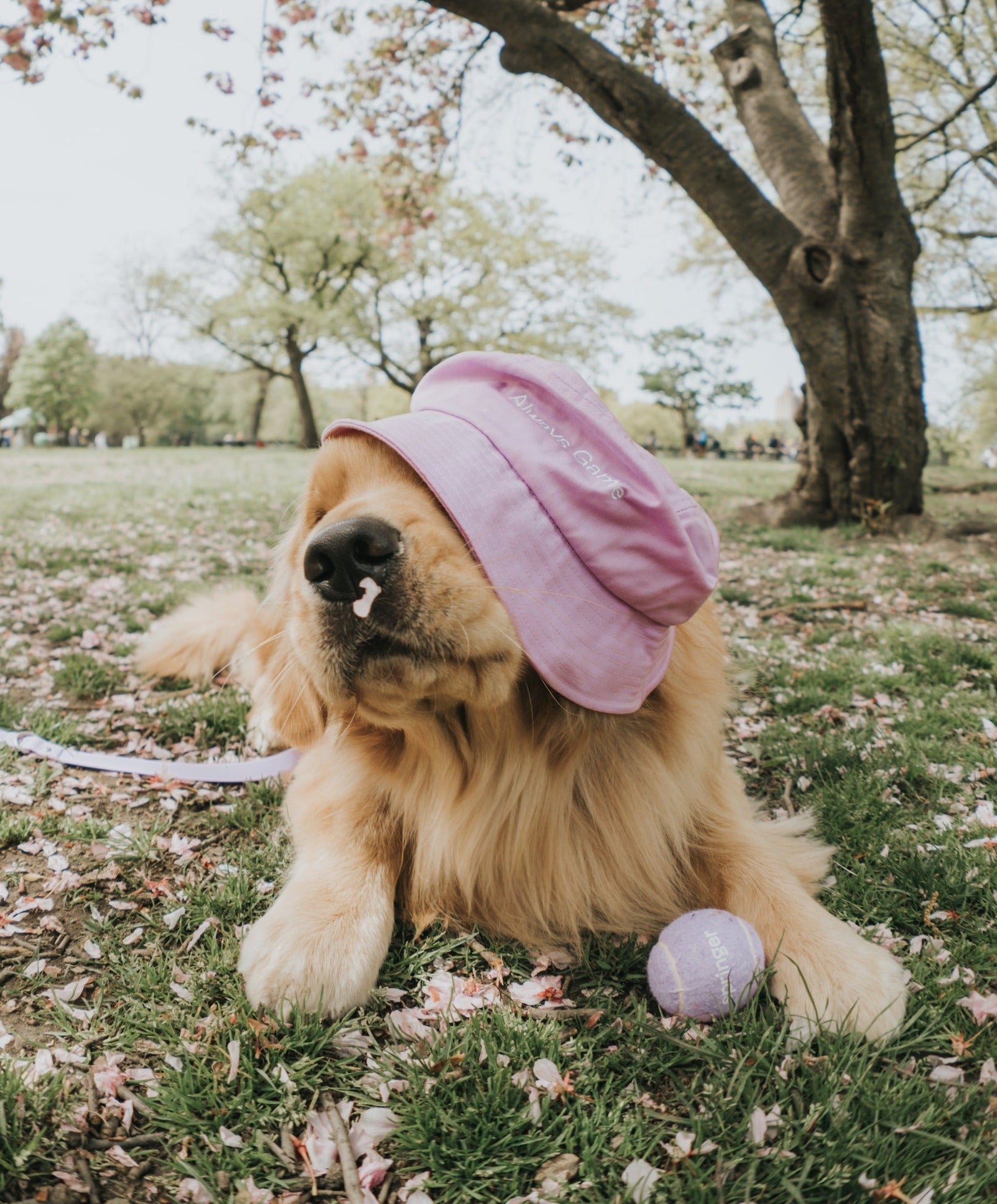 Always Game Bucket Hat - BIG FRENCHIES