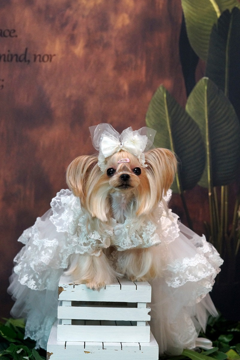 dog wedding dress lace Luxury Victorian Handmade Pearl Bridal Gown Princess Pet Wedding Dress Couture White Formal Gown XXL 10.3.25 Seamoss Floral Bayou One A bejeweled belt completes Size:40 Xlong