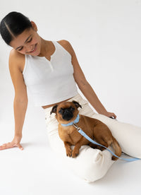 Original Waterproof Dog Collar - BIG FRENCHIES