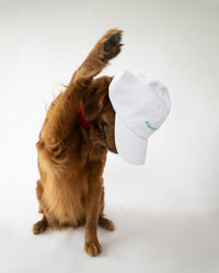 Always Game Dad Cap - BIG FRENCHIES