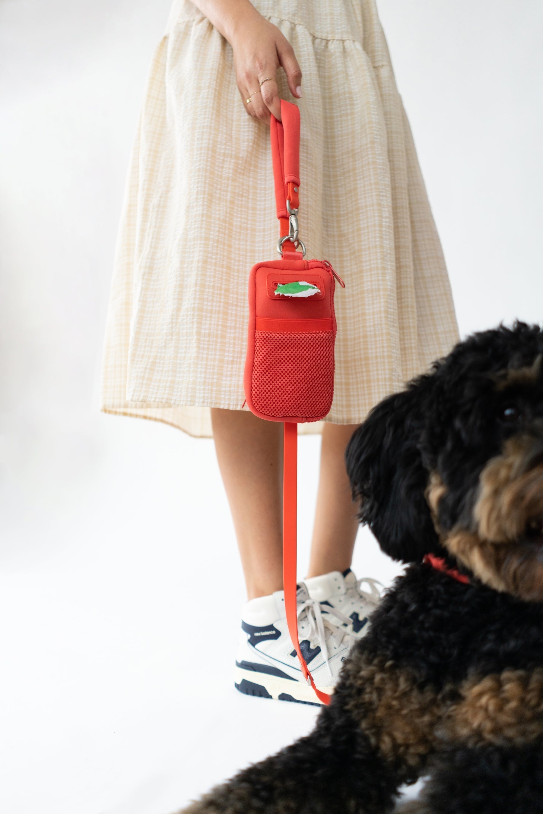 Original Neoprene Dog Walk Bag with Leash - BIG FRENCHIES
