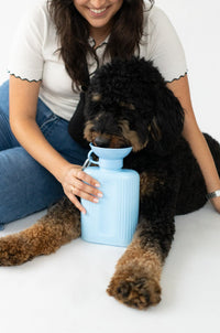 44oz Original Dog Travel Water Bottle - BIG FRENCHIES