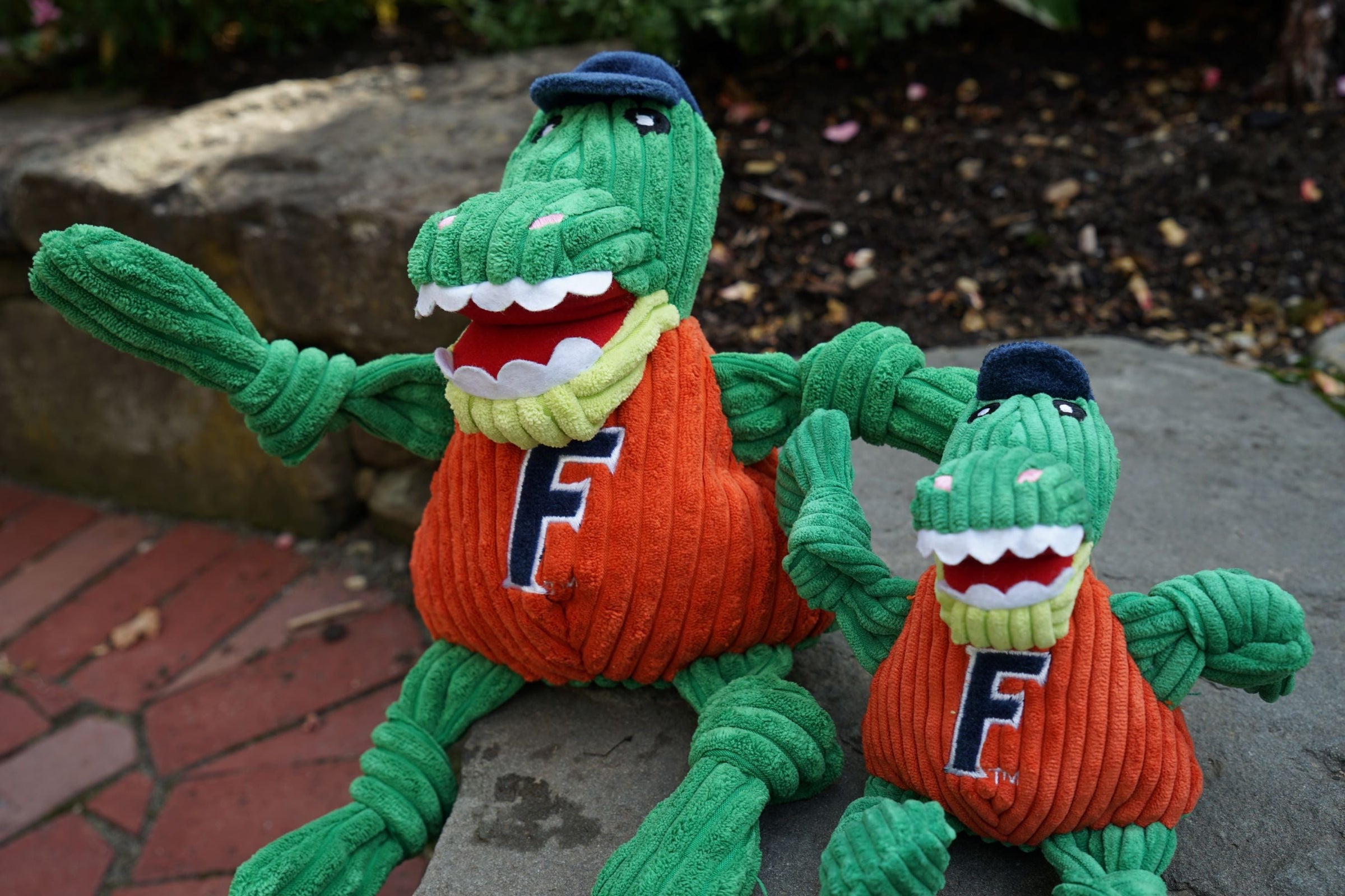 NCAA University of Florida - Albert Gator Knottie® Plush Dog Toy - BIG FRENCHIES