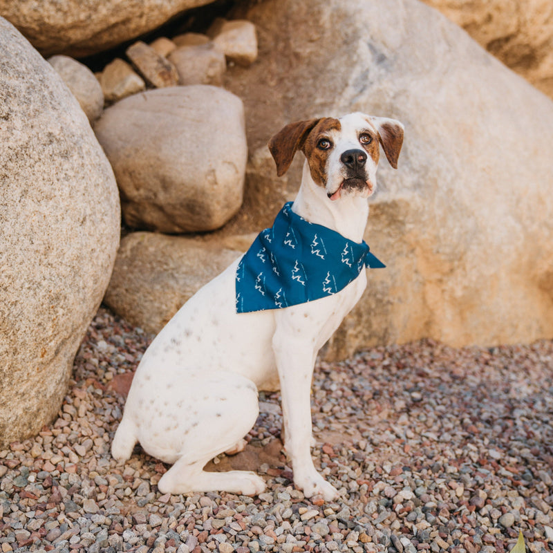 Alpha Pak Logo Bandana-Pet Apparel-BIG FRENCHIES-Alpha Pak