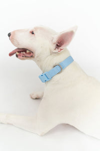 Original Waterproof Dog Collar - BIG FRENCHIES