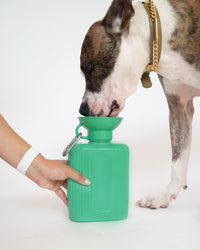 44oz Original Dog Travel Water Bottle - BIG FRENCHIES