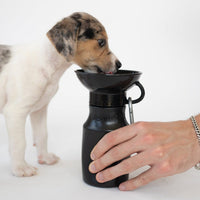 15oz Original Dog Travel Water Bottle - BIG FRENCHIES