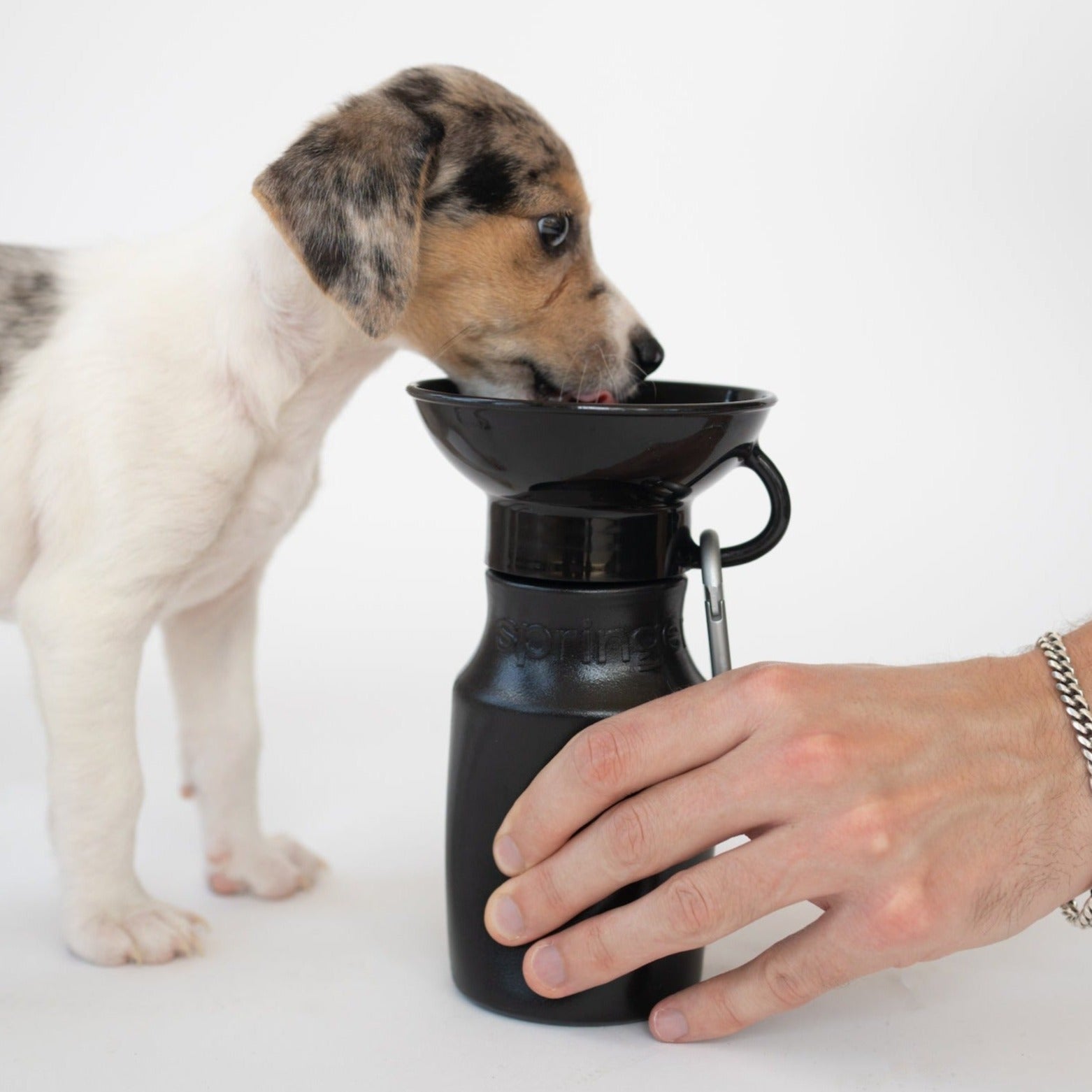 15oz Original Dog Travel Water Bottle - BIG FRENCHIES