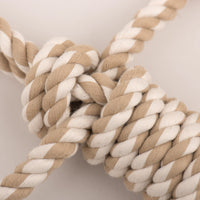 Birch Bunny X-Brace™ Plush Dog Toy - BIG FRENCHIES