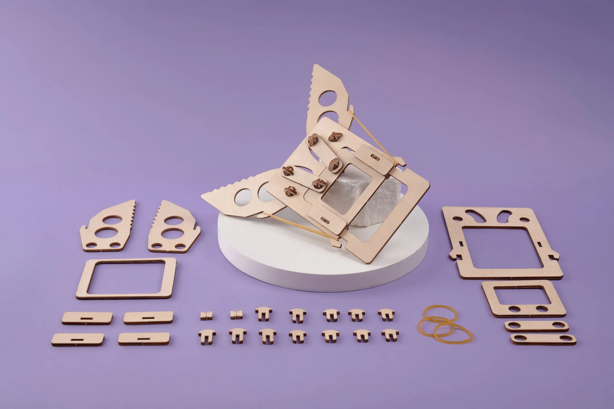 Mechanical Claw DIY Kit, Educational STEM Toy - BIG FRENCHIES
