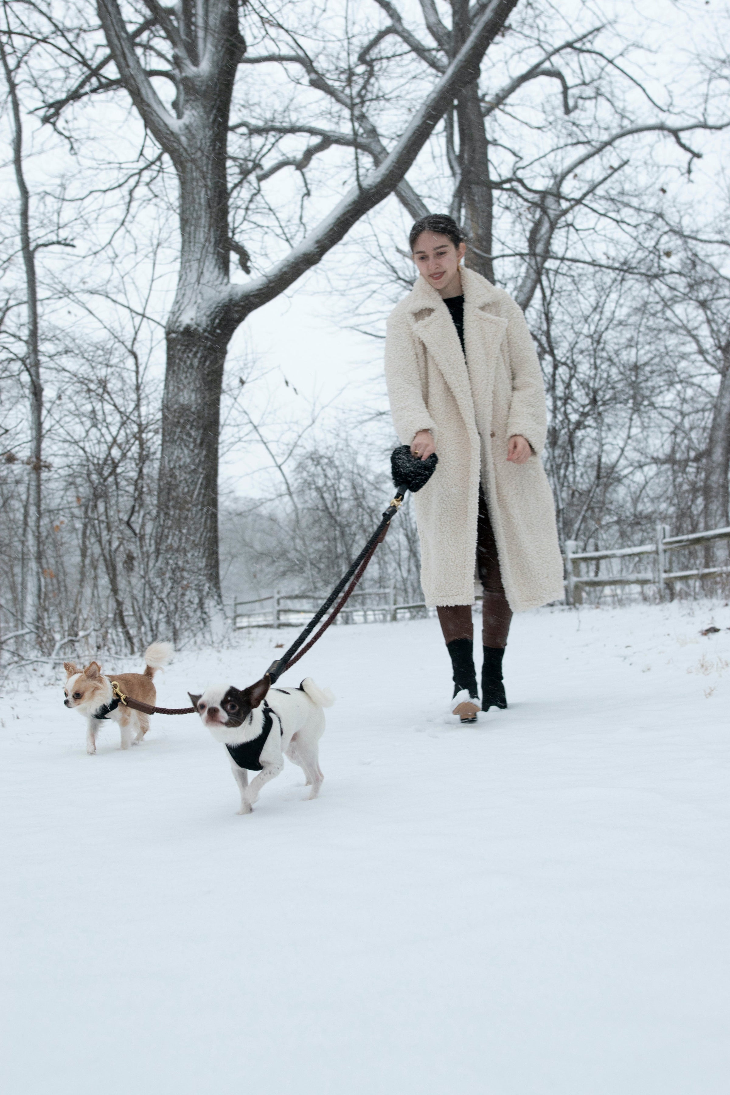 Bundle Shearling Fur Grip + Rope Leash for Dogs - BIG FRENCHIES