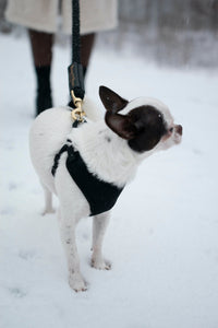 Bundle Shearling Fur Grip + Rope Leash for Dogs - BIG FRENCHIES