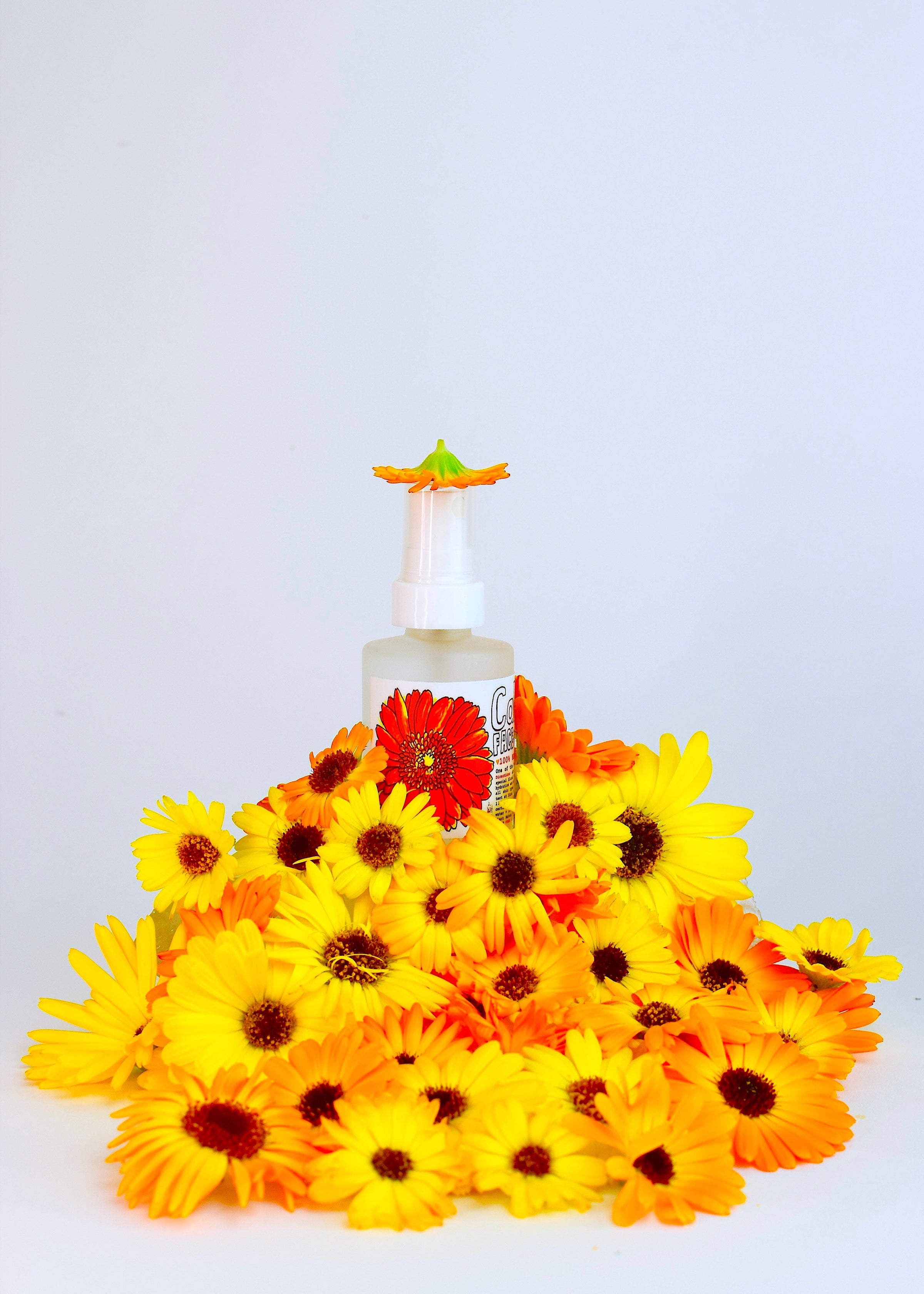 Calendula Face + Body Mist - BIG FRENCHIES