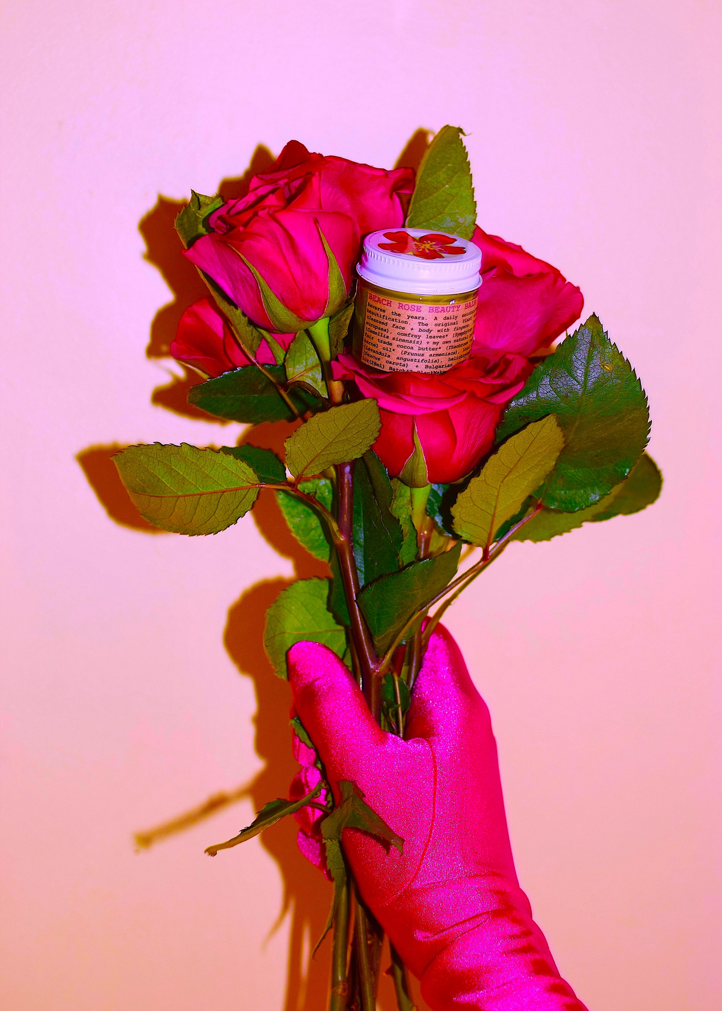 Beach Rose Beauty Balm - BIG FRENCHIES