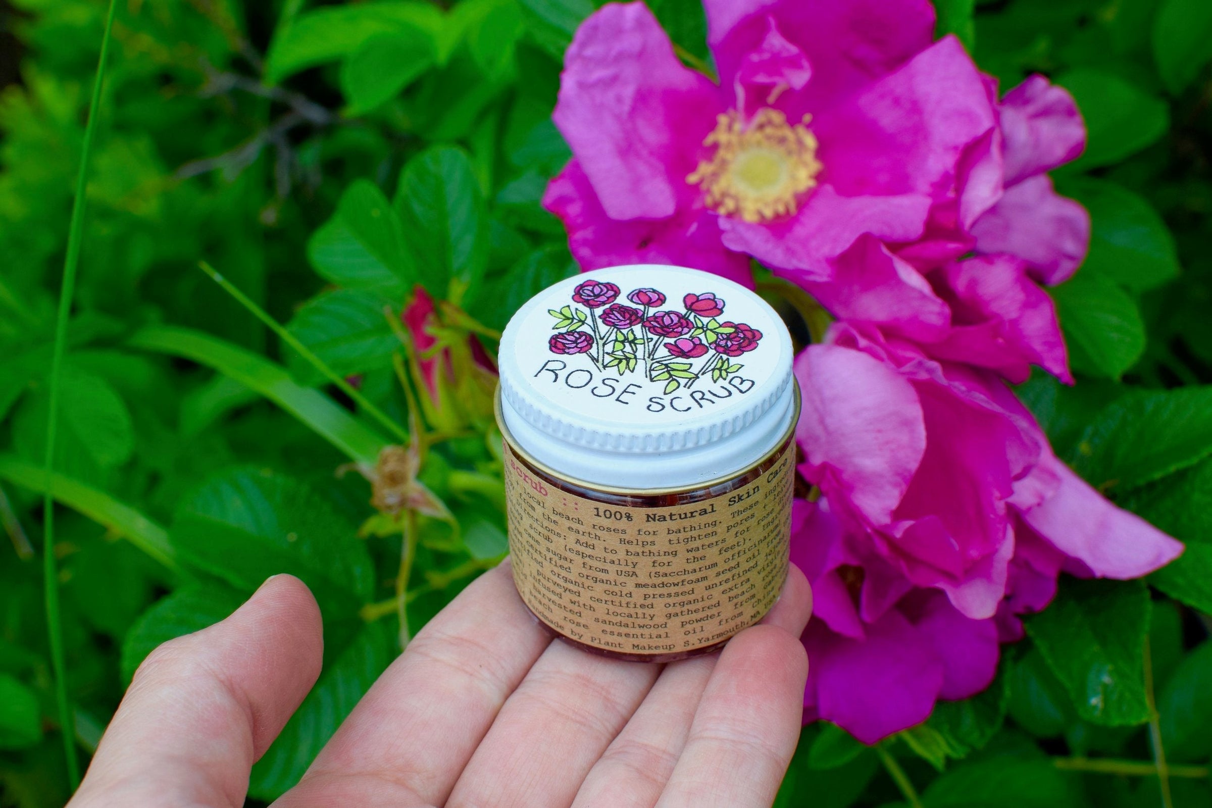 Beach Rose Scrub - BIG FRENCHIES