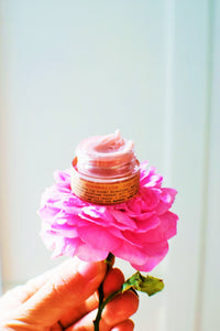 Strawberry Dreamsicle Lip Balm Scrub - BIG FRENCHIES