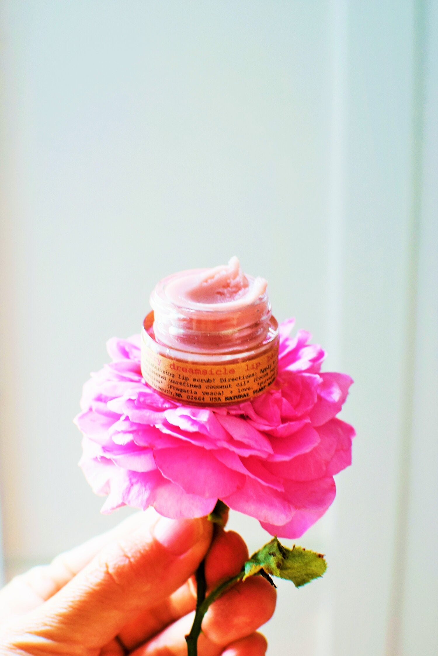 Strawberry Dreamsicle Lip Balm Scrub - BIG FRENCHIES