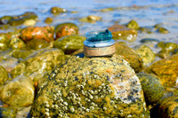 Mermaid Makeup Balm - BIG FRENCHIES