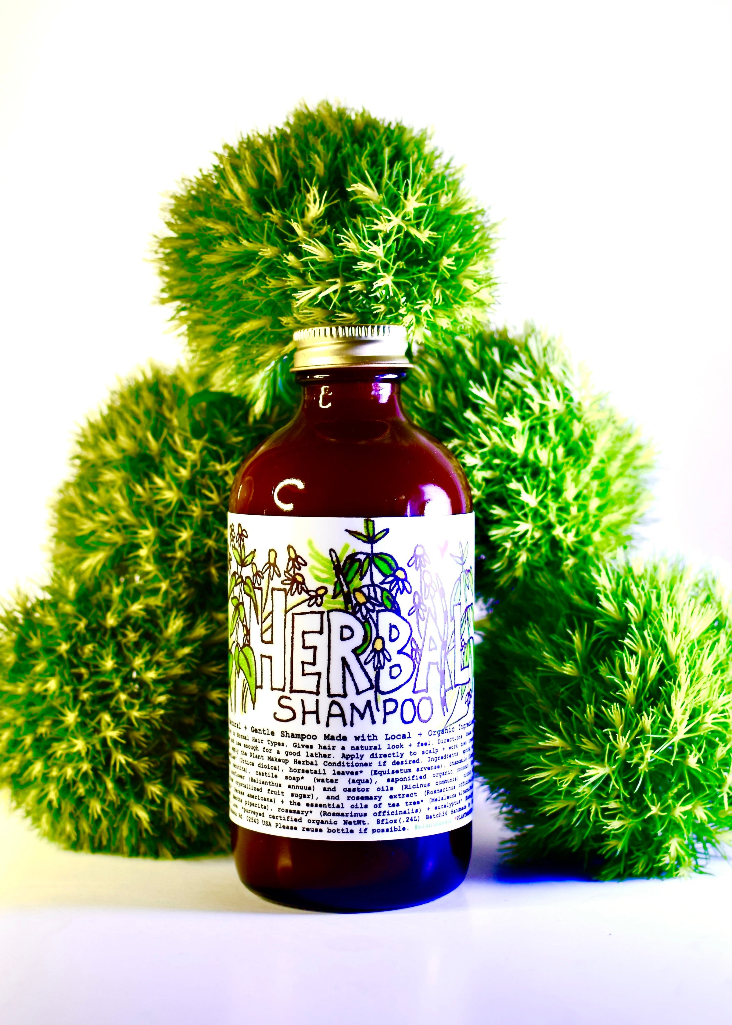 Herbal Shampoo - BIG FRENCHIES