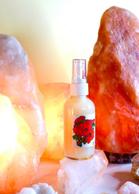 Wild Rose Face Wash - BIG FRENCHIES