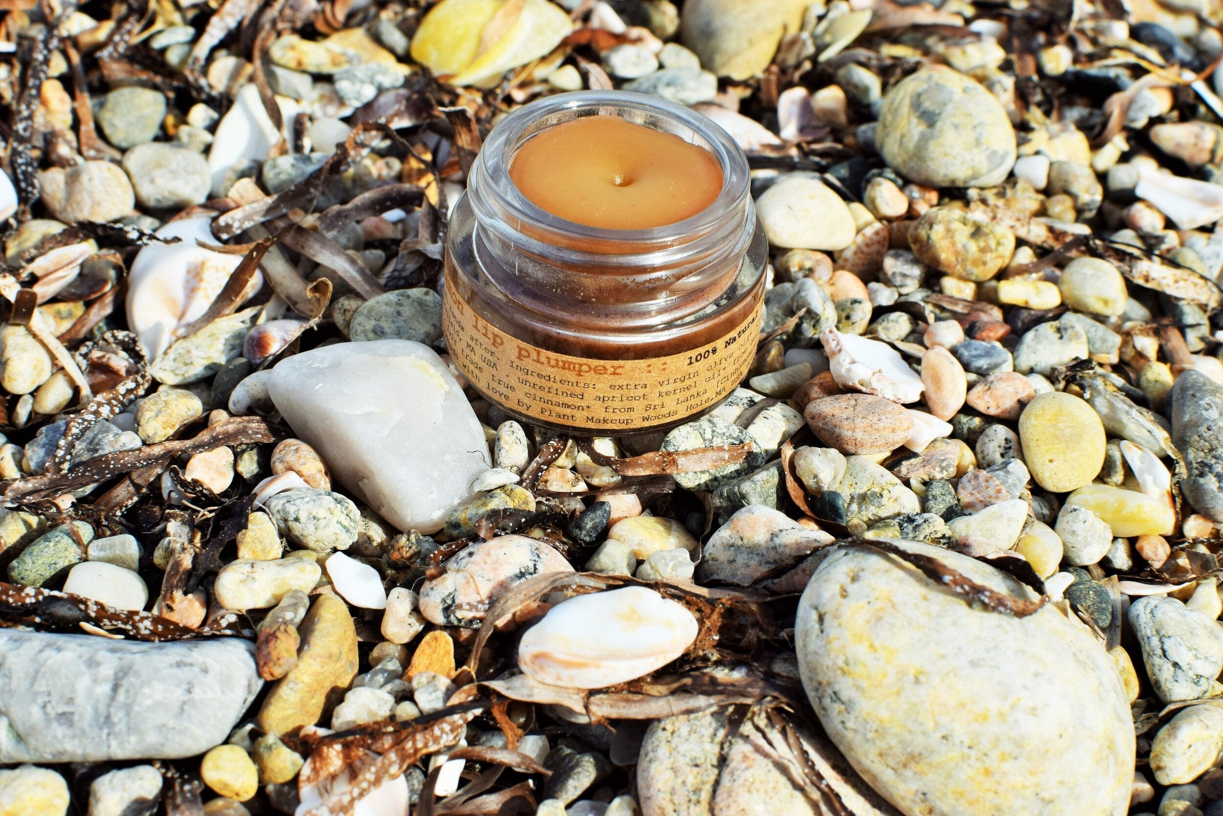 Cinnamon Lip Plumper - BIG FRENCHIES