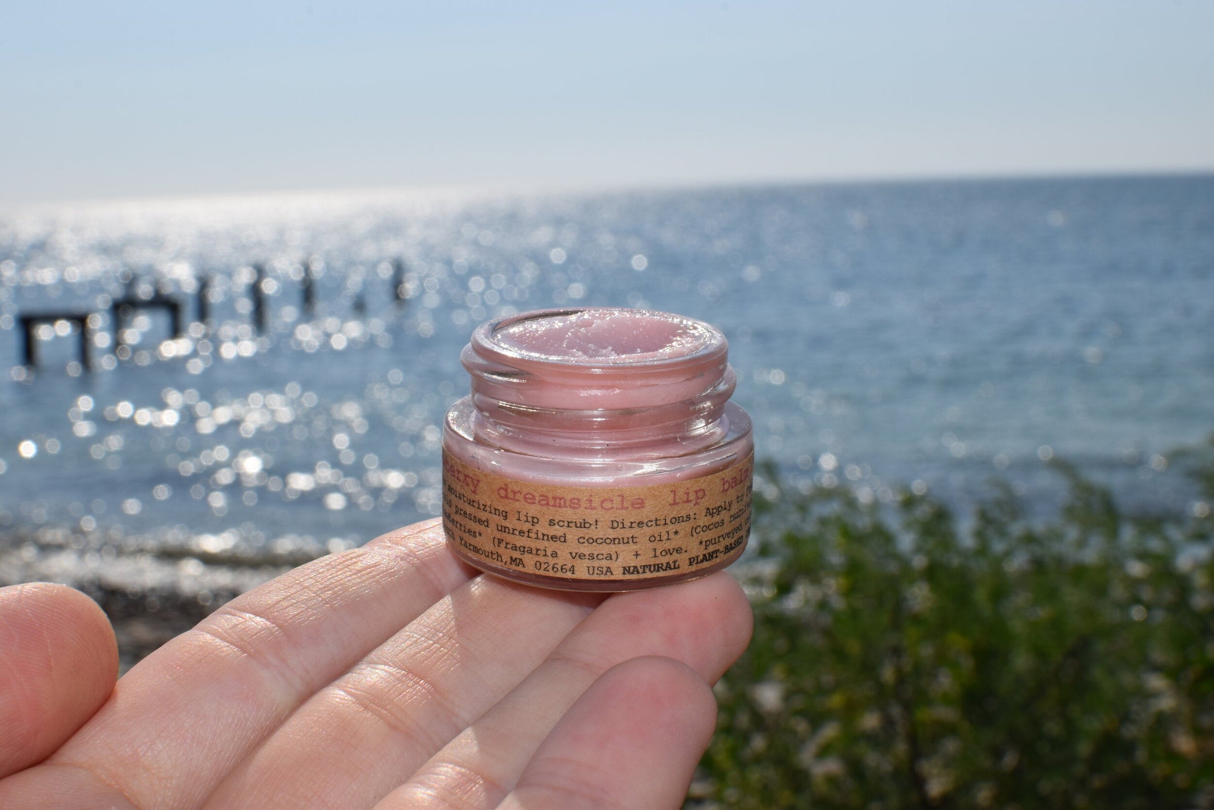 Strawberry Dreamsicle Lip Balm Scrub - BIG FRENCHIES