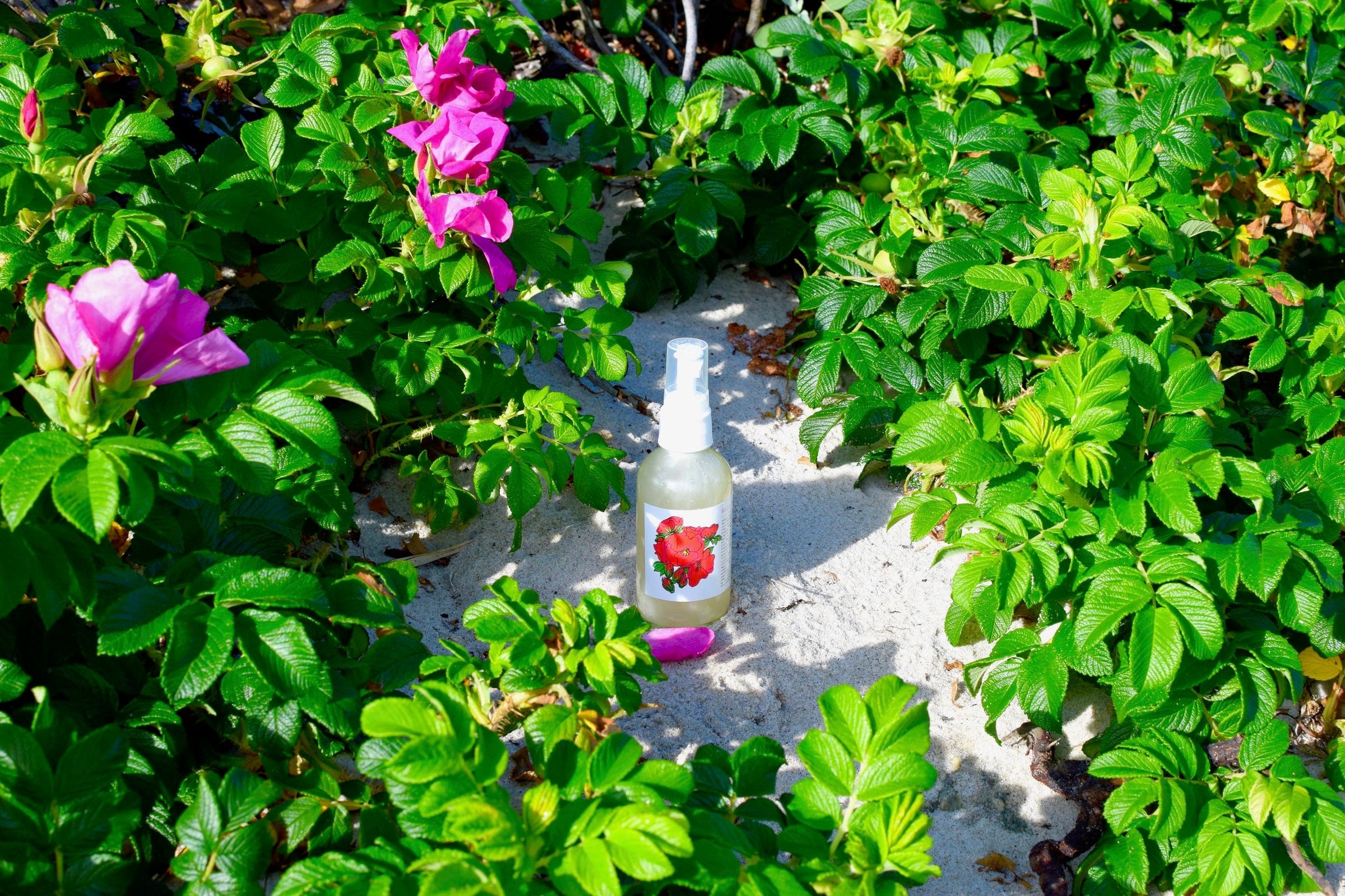 Wild Rose Face Wash - BIG FRENCHIES