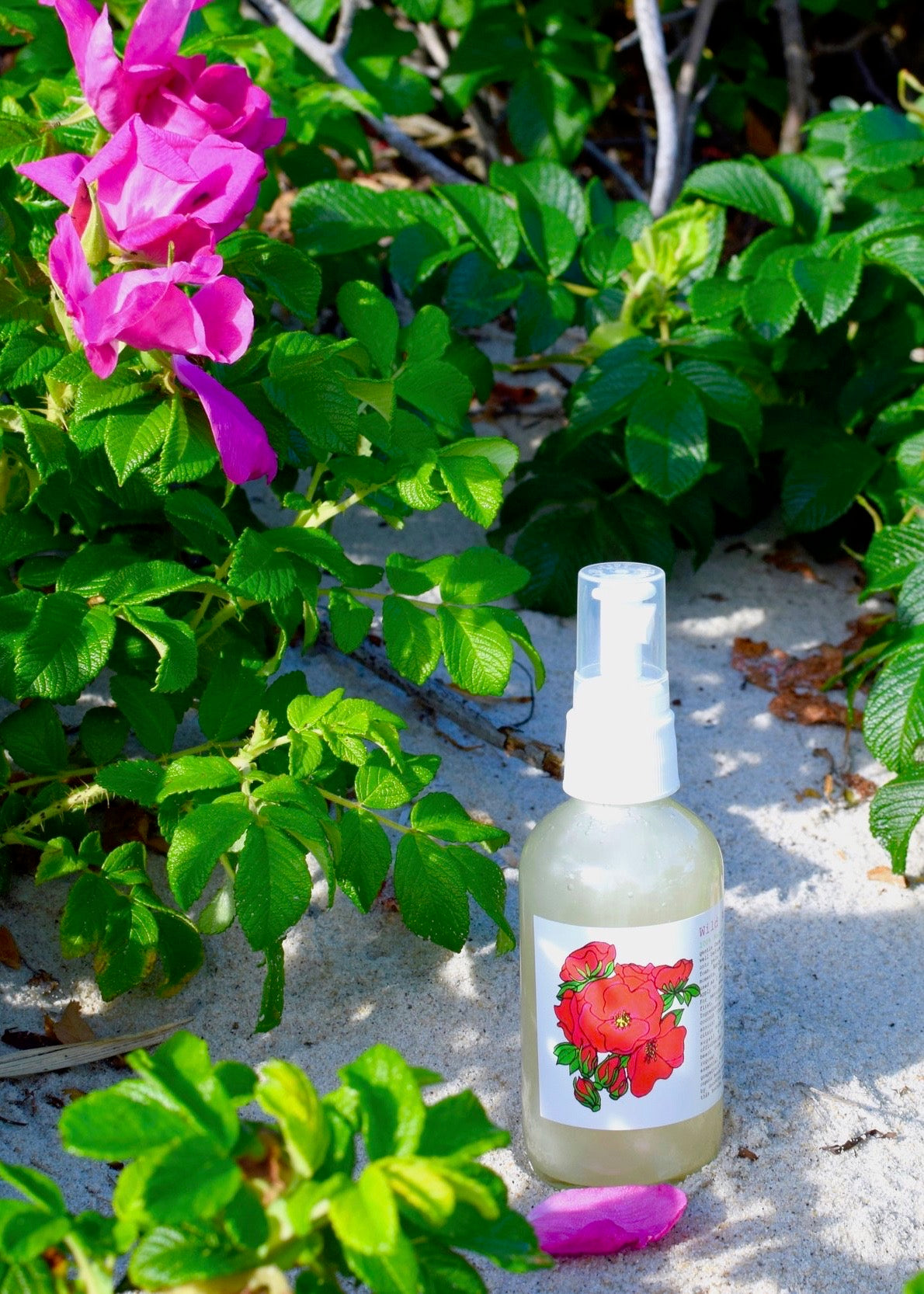 Wild Rose Face Wash - BIG FRENCHIES