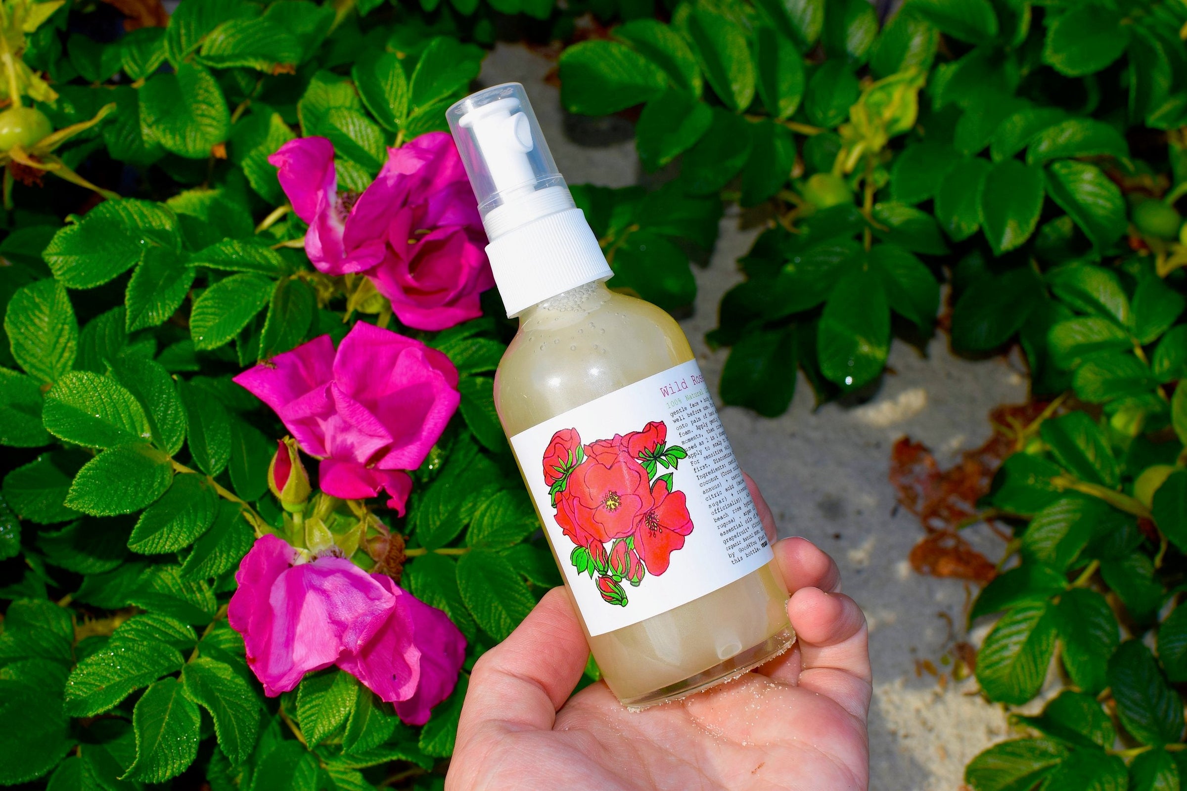 Wild Rose Face Wash - BIG FRENCHIES