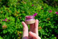 Hibiscus + Beet Lip Tint - BIG FRENCHIES