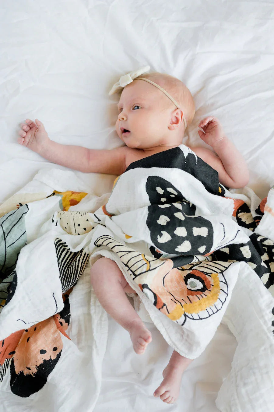 Butterfly Collector Swaddle - BIG FRENCHIES