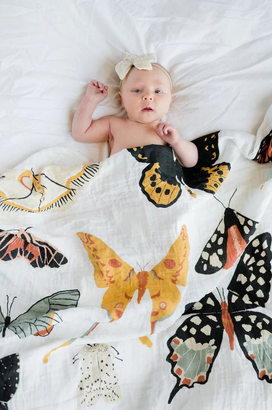 Butterfly Collector Swaddle - BIG FRENCHIES