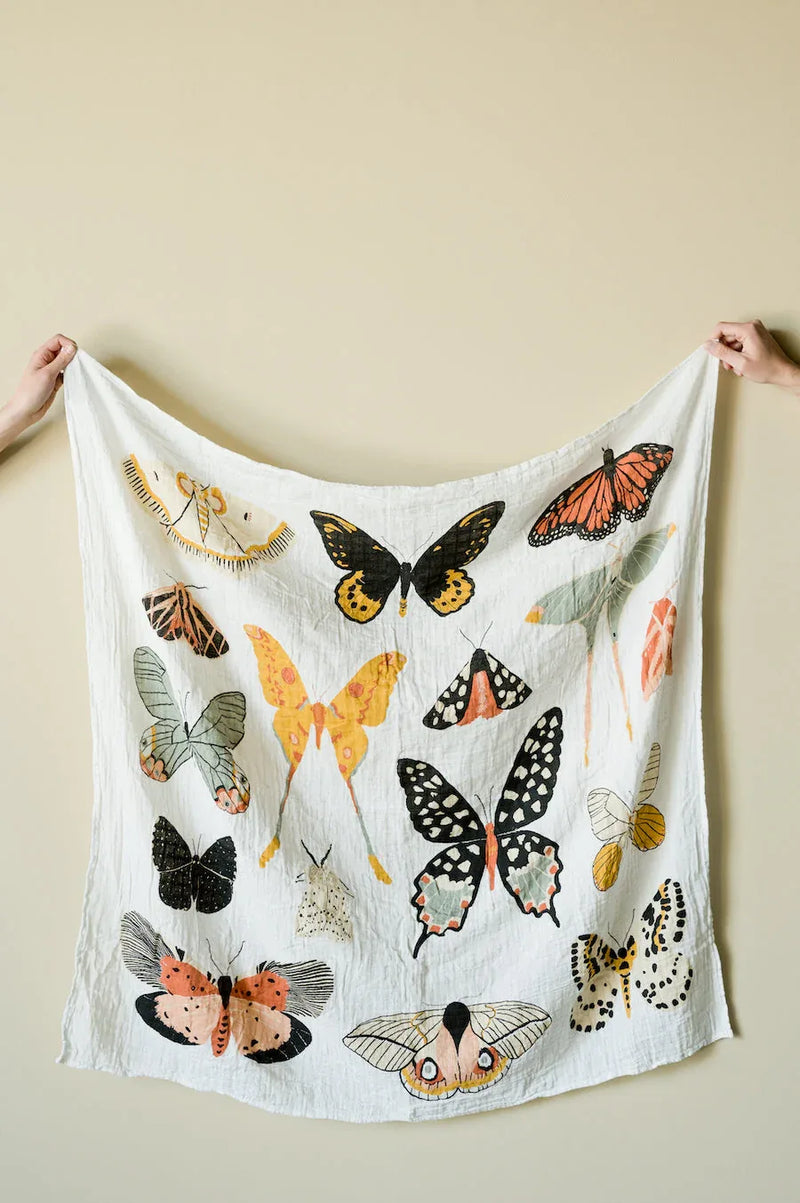 Butterfly Collector Swaddle - BIG FRENCHIES
