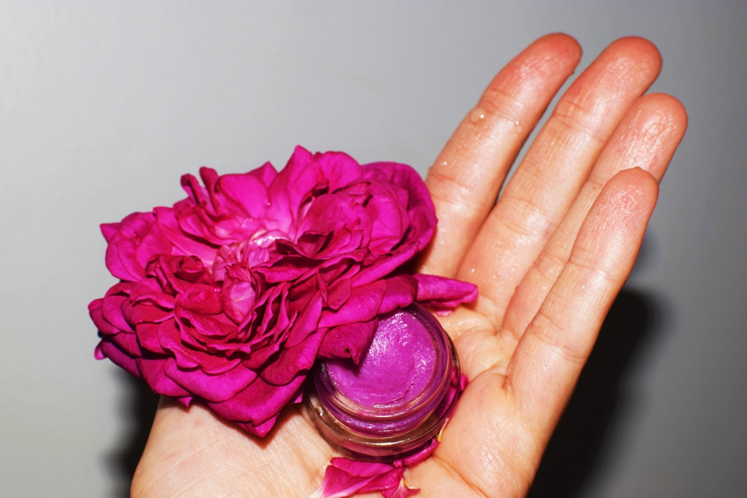 Dragon Fruit Lip Gloss - BIG FRENCHIES