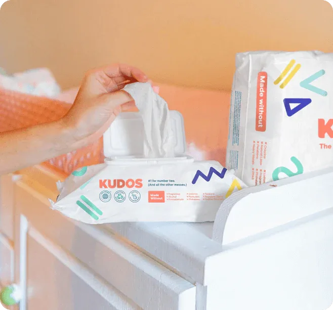 One-month supply of wipes (4 packs) - BIG FRENCHIES