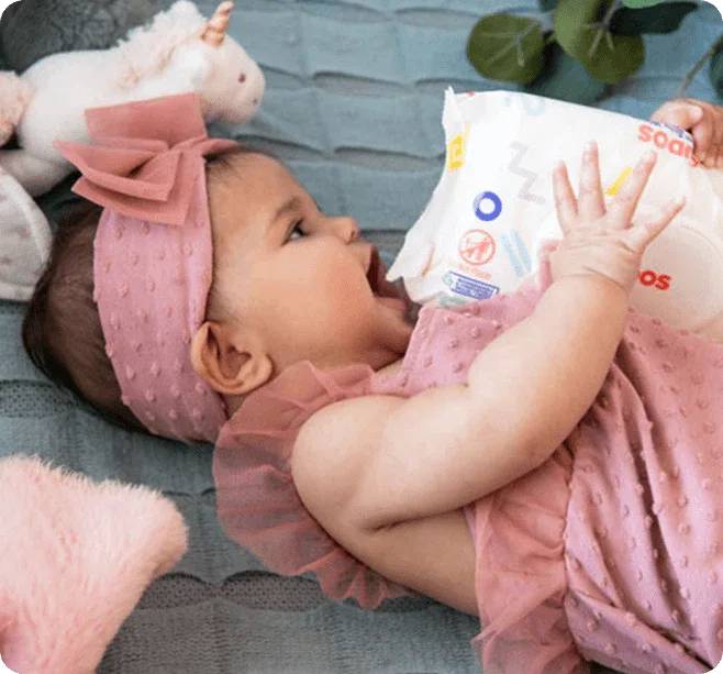 One-month supply of wipes (4 packs) - BIG FRENCHIES
