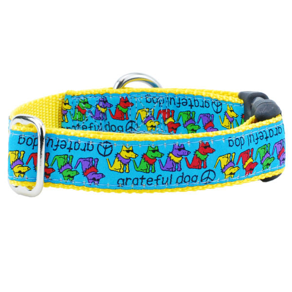 1″ Grateful Dog Teddy The Dog Essential Martingale Dog Collar-Pet Collars & Leashes-BIG FRENCHIES-2 Hounds Design