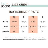Dachshunds & Daisies Dog Coat