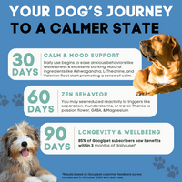 Hemp Calming Chews for Dogs