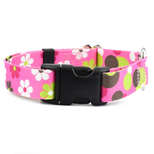 Daisy Dot Dog Collar – EarthStyle-Pet Collars & Leashes-BIG FRENCHIES-2 Hounds Design
